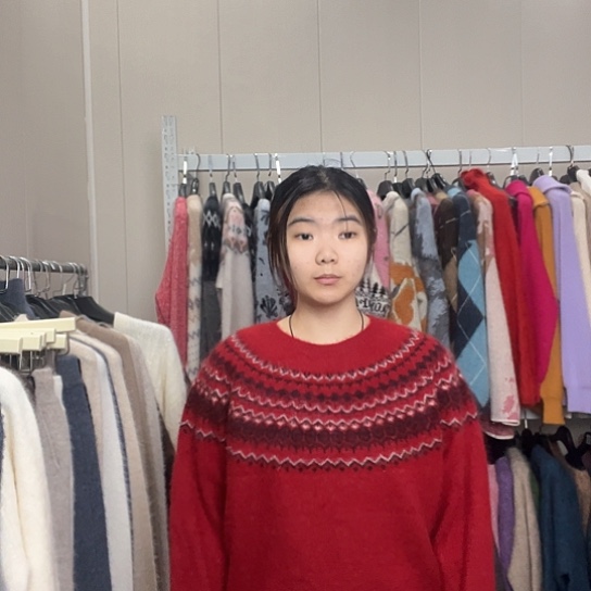 红色费尔岛上衣亮红色