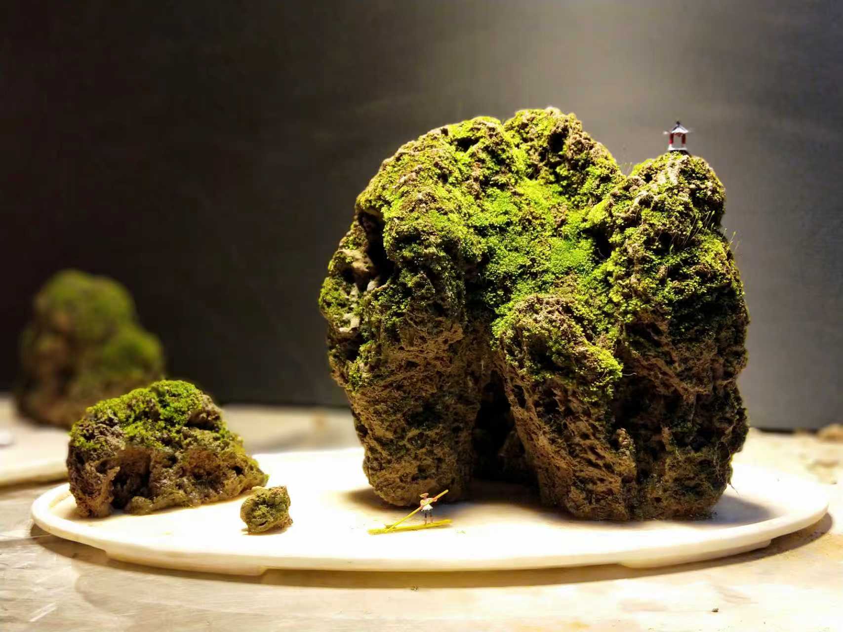 生长苔藓的吸水石盆景