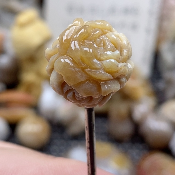 颈饰未镶嵌硅化珊瑚（珊瑚玉）