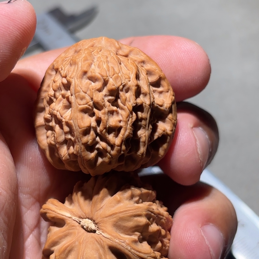 桃核吊坠白狮子核桃