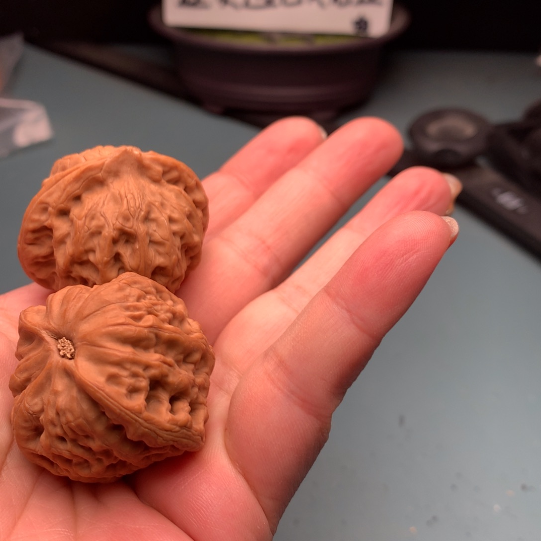 文玩核桃把件佛度4041