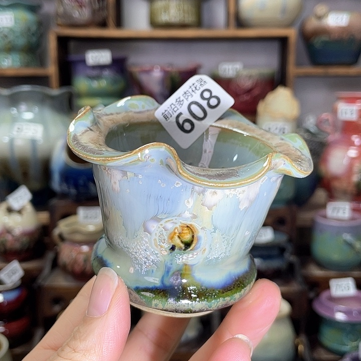 红陶内口径6高度6