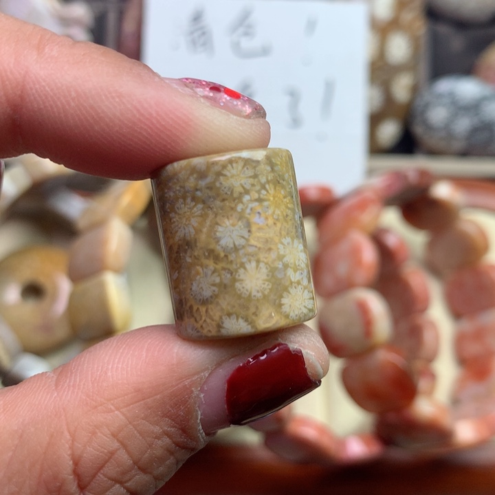 硅化珊瑚（珊瑚玉）颈饰未镶嵌