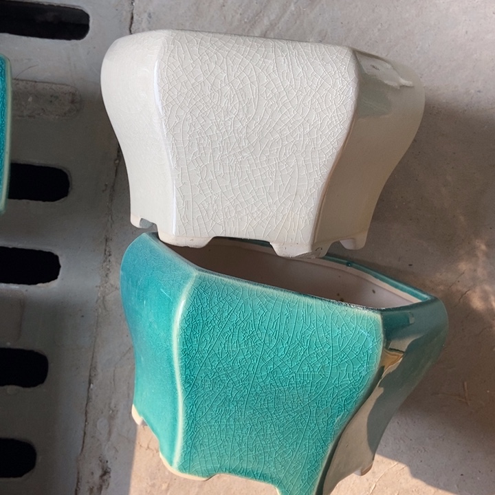 我们的生活方式就是这样