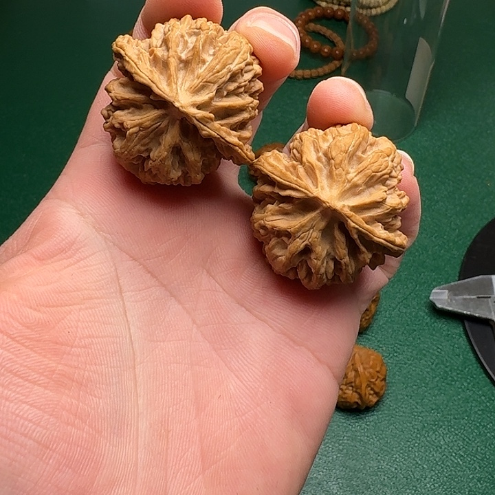 把件文玩核桃闪8，山地苹果42尺（嗑尖）