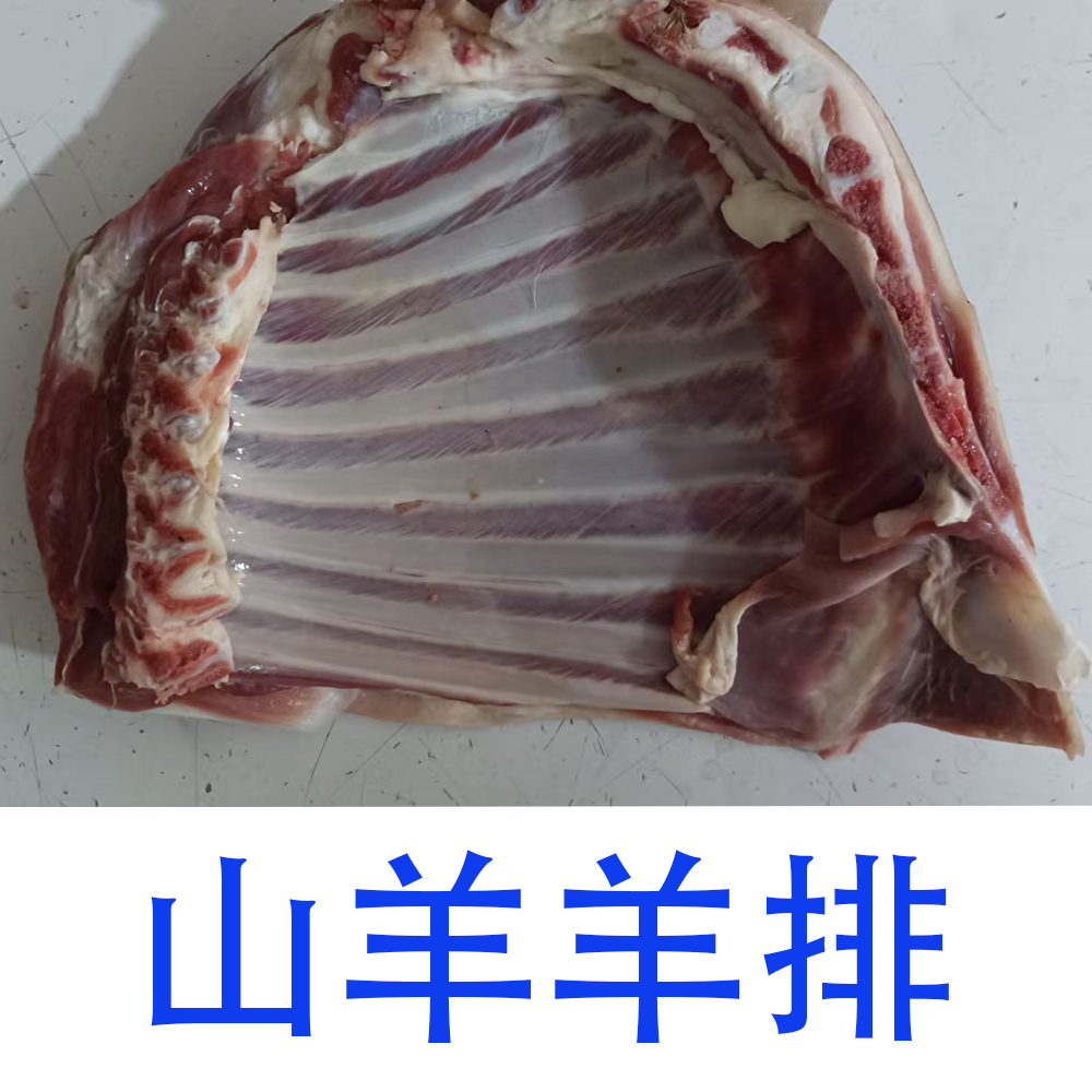 黑山羊 纯羊排 云南本地土羊 放养山羊 小耳朵正宗跑山羊 