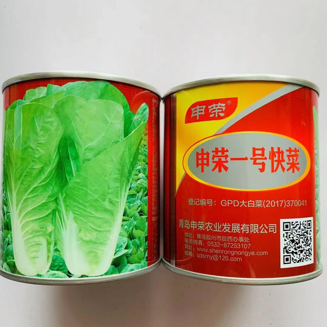 申荣速生奶油快菜种子 杂交品种优质高产耐热耐湿 农家春秋播精选