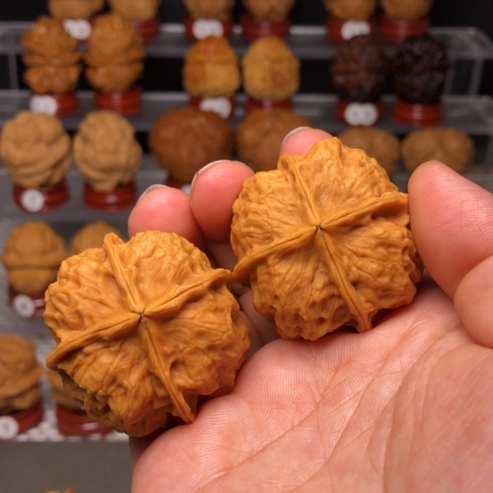 羞***顶文玩核桃把件18凤凰牡丹