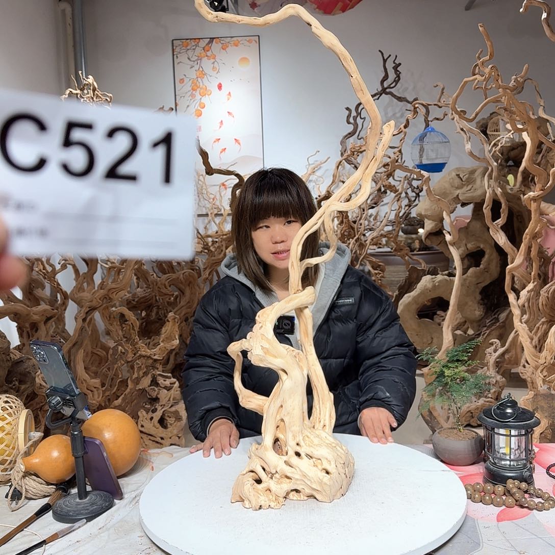 风车木（黑檀木）花*