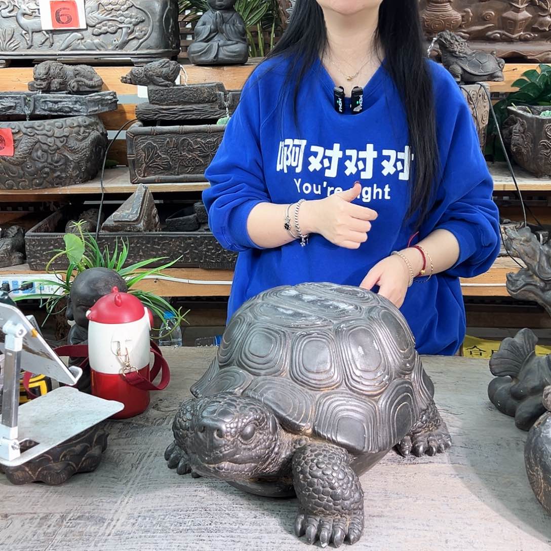 大乌龟造景一个一个