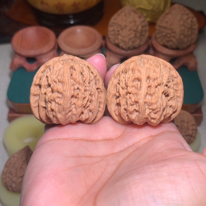 文玩核桃把件白狮子