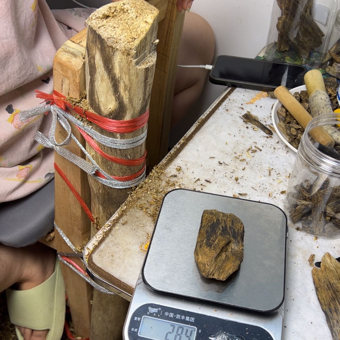 线香奇楠虫漏香28克