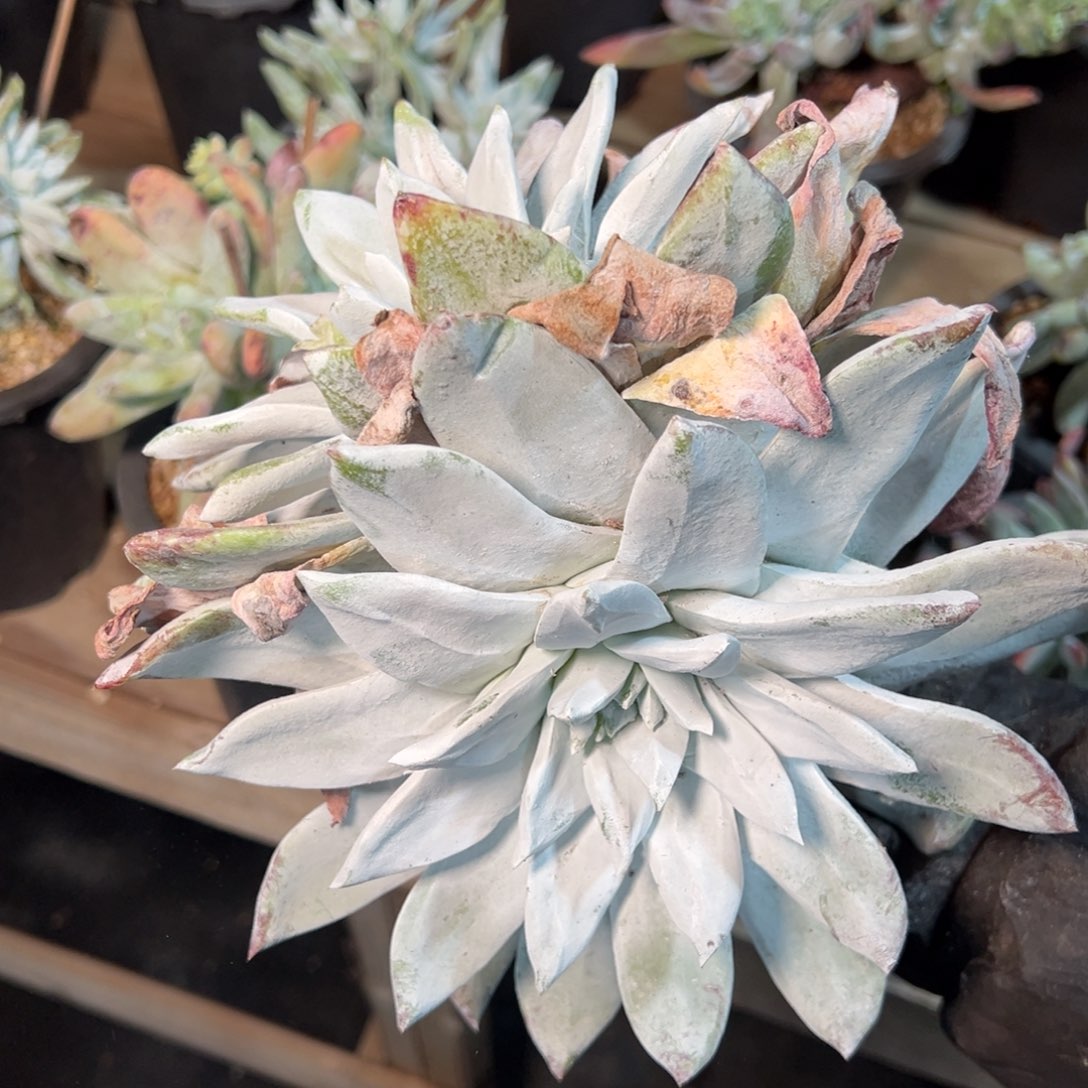 8961哈哈哈哈哈哈哈哈