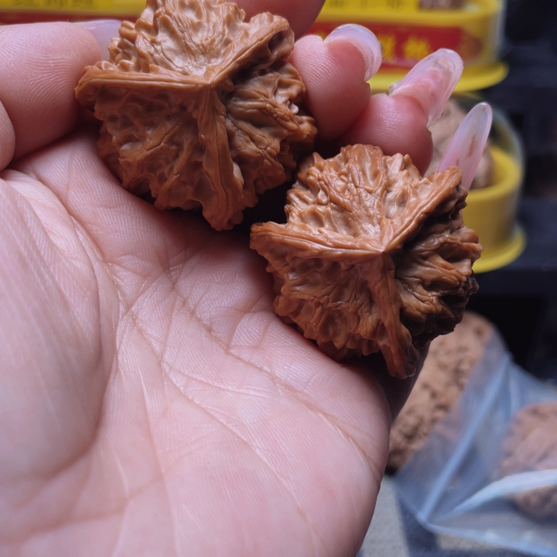 核桃39盘山公子帽三棱