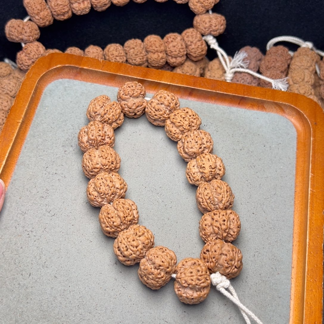 菩提21号金刚菩提梁深沟梅花23+