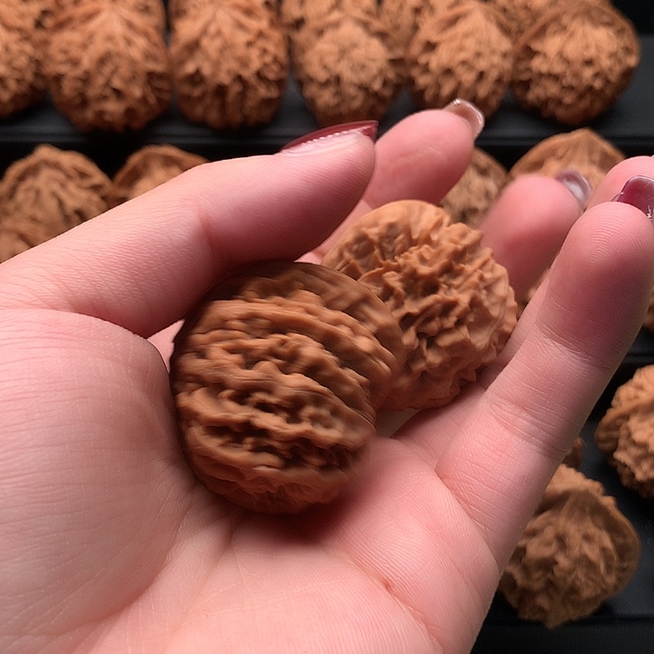 其他核桃不**丶秦岭的一个