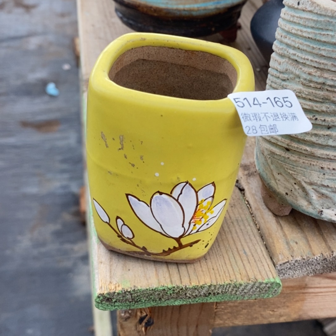 165号多肉盆口径5高8.5