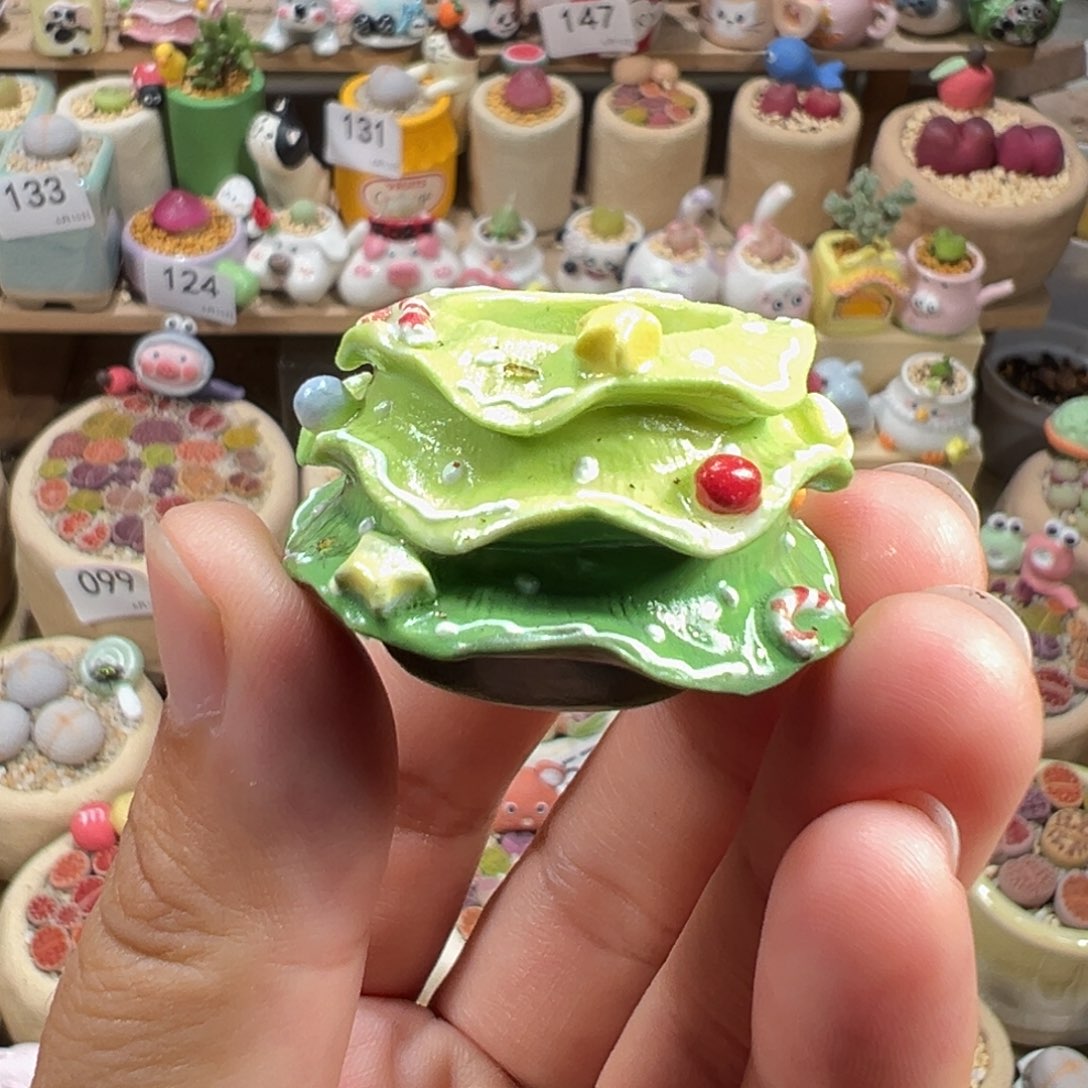 多肉植物163号圣诞树盆