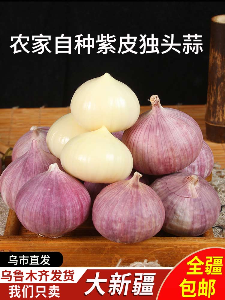 新疆包邮2025年农家紫皮独头大蒜红皮干蒜新大蒜蔬菜新鲜现挖