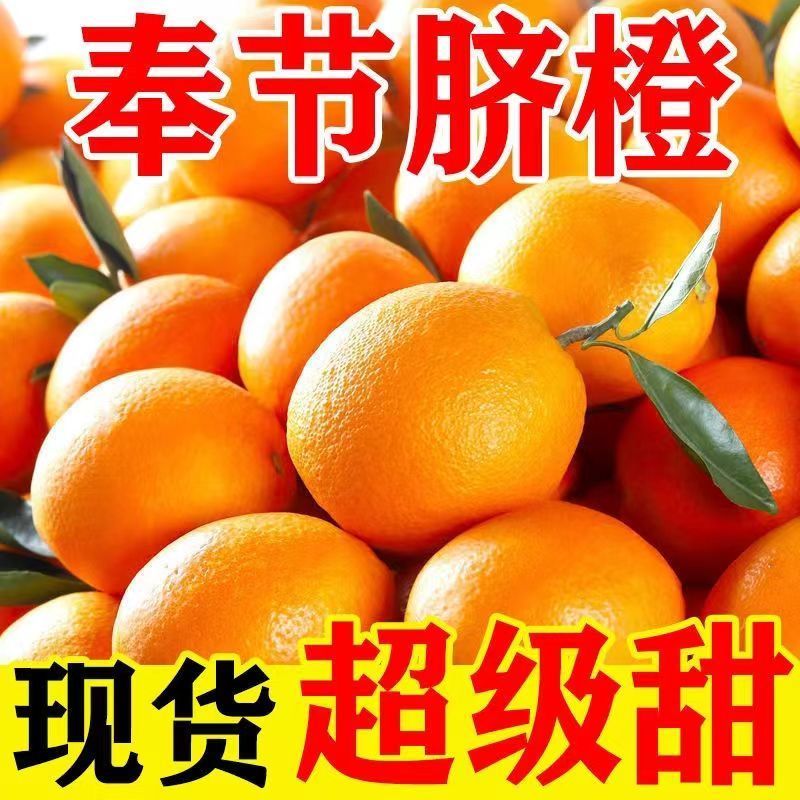 现摘重庆奉节脐橙纽荷尔脐橙高山甜橙鲜橙孕妇新鲜水果低热量水果