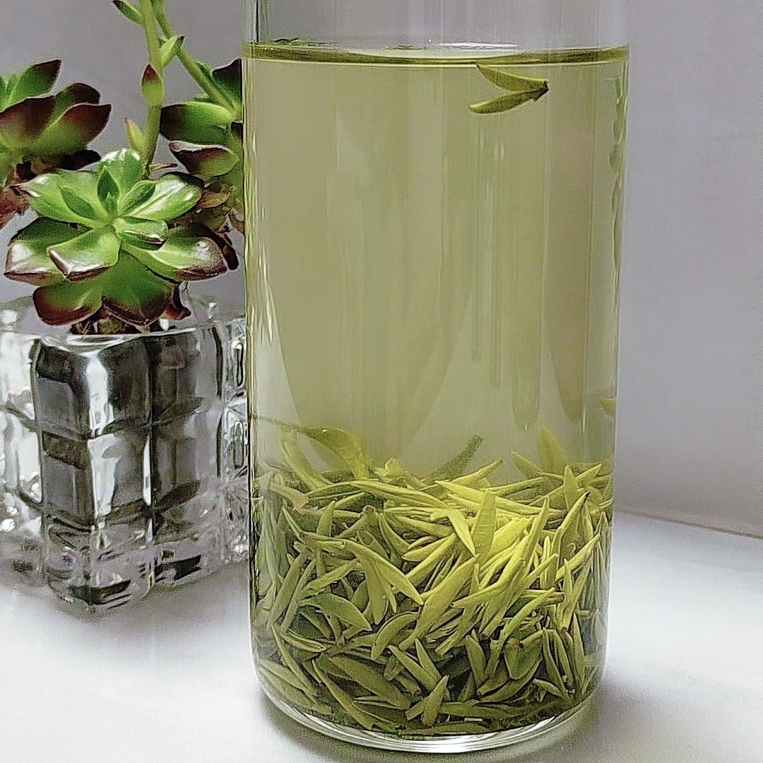 2025信阳毛尖雨前小芽集云山高山绿茶核心产区