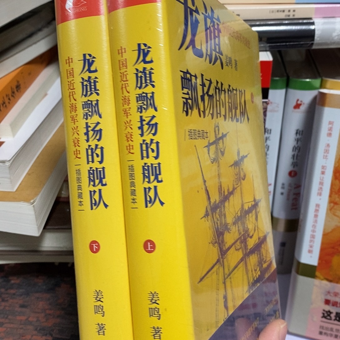 龙旗 中国近代海军  