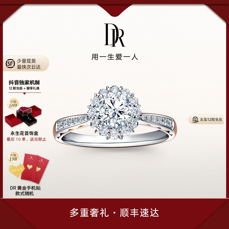 【12期免息】DR钻戒LOVE PALACE系列求婚钻戒华美礼堂戒轻奢WJ0107