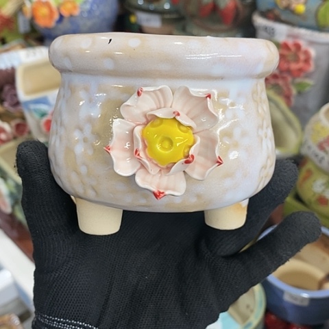 【闪购商品】红陶1