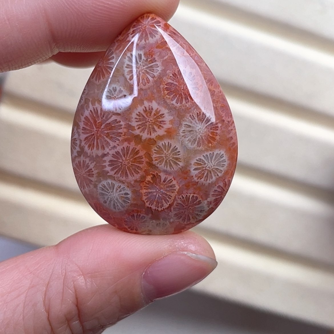 【闪购商品】硅化玉吊坠(赠链)未镶嵌