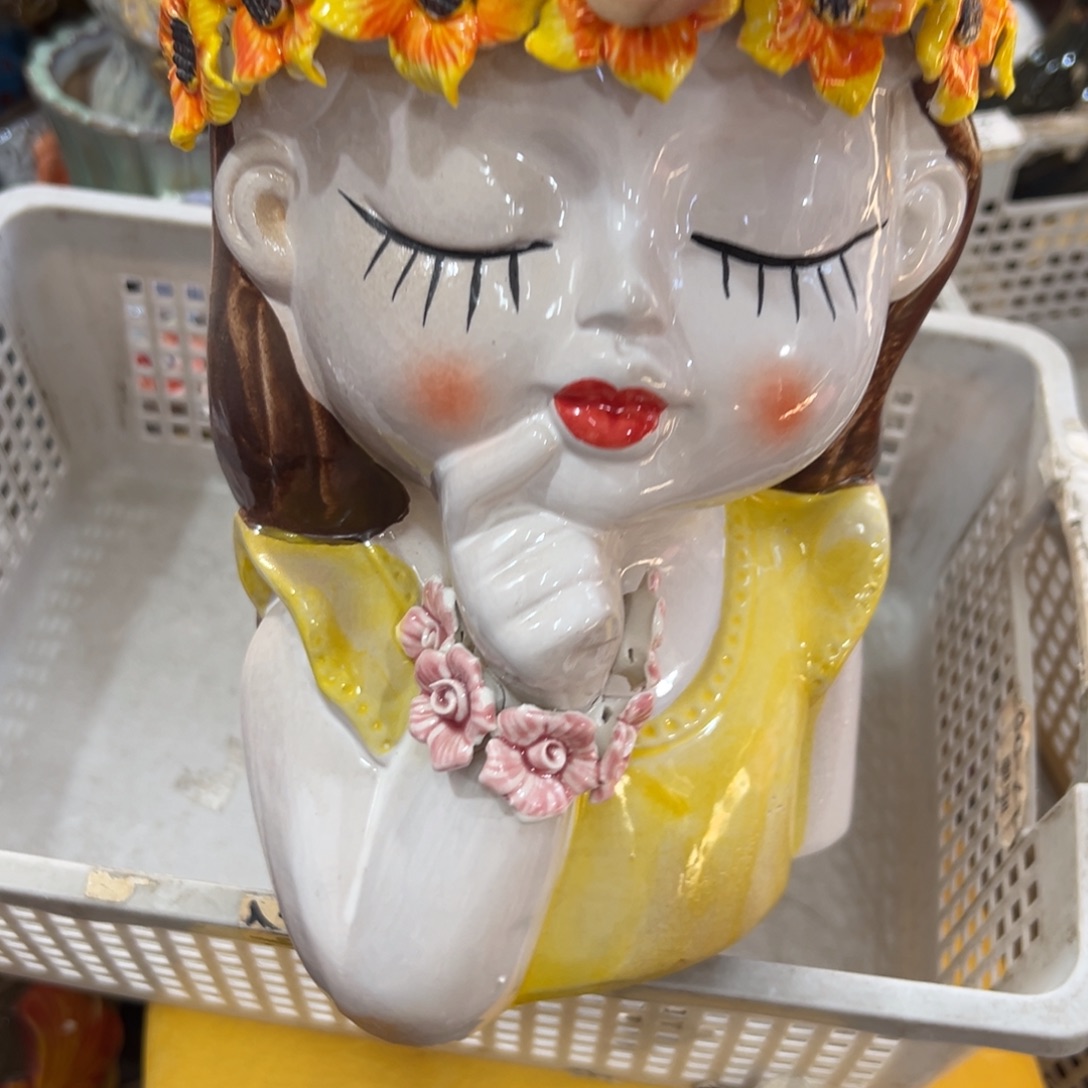 孤品花盆满20元发货，随意退款的拉黑