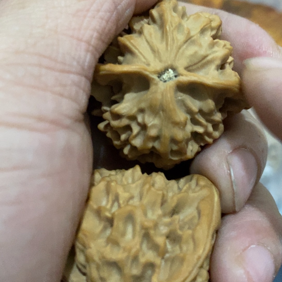 秦岭南侧和东北的区域