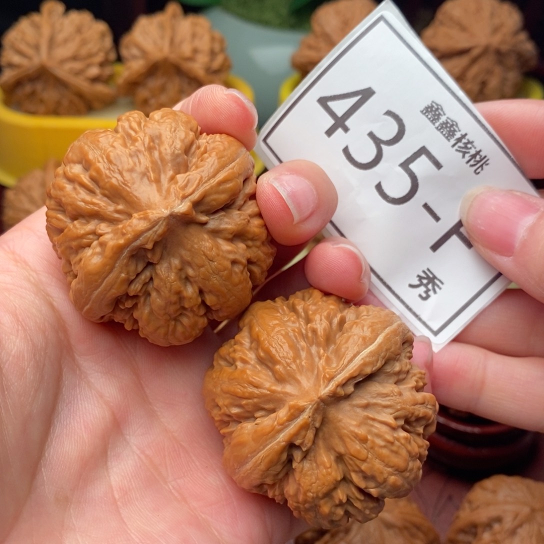 文玩核桃把件霸王龙43