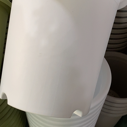 树脂四季7号纯白无托5个