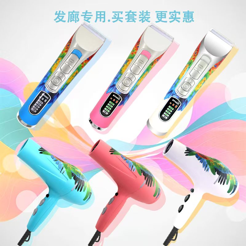 【直播间组合福利】吹风机理发专用大功率速干造型短发吹风机推荐