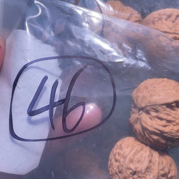 文玩核桃吊坠晚**酒46呃呃呃