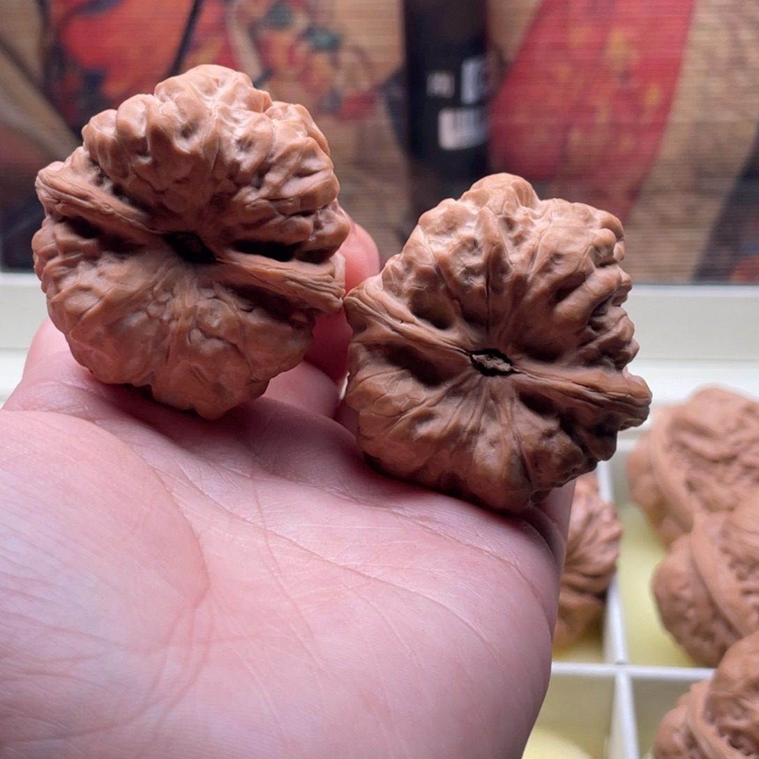 W***T木质类43蛤蟆矮庄