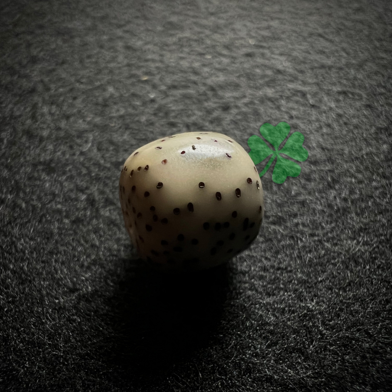 L11定制款直播间款星月菩提不凡多样性发货文玩好物念珠