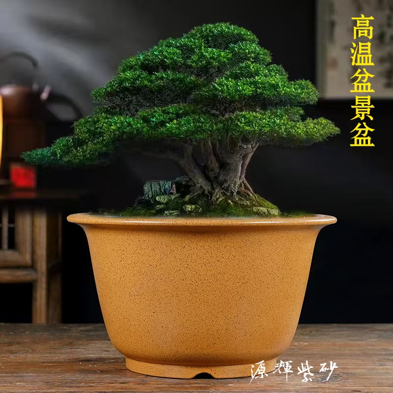 精品紫砂花盆高温陶瓷盆景盆大号老桩盆景盆栽植物圆形室内兰花盆