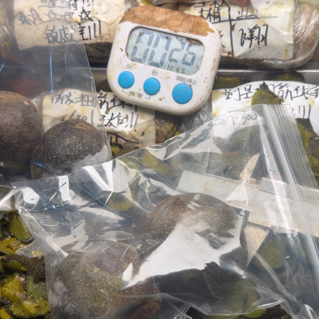 安***三以后积极解决就好