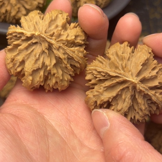 文玩核桃吊坠秦岭核桃107