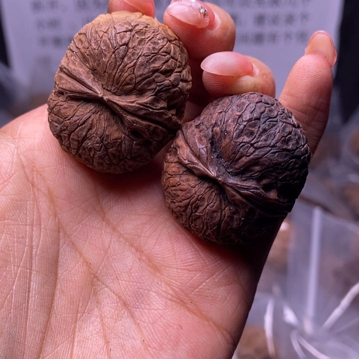 核桃云南野生铁核桃179号35mm