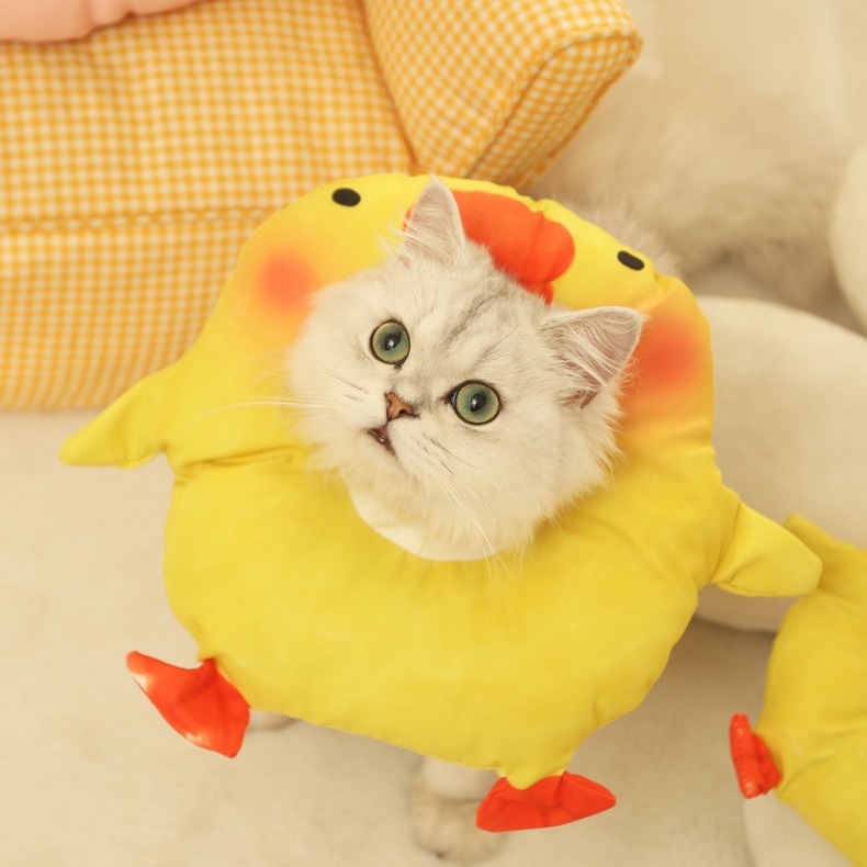猫咪脖圈宠物手术术后绝育防舔防抓防咬圈卡通猪猪鸭子伊丽莎白圈