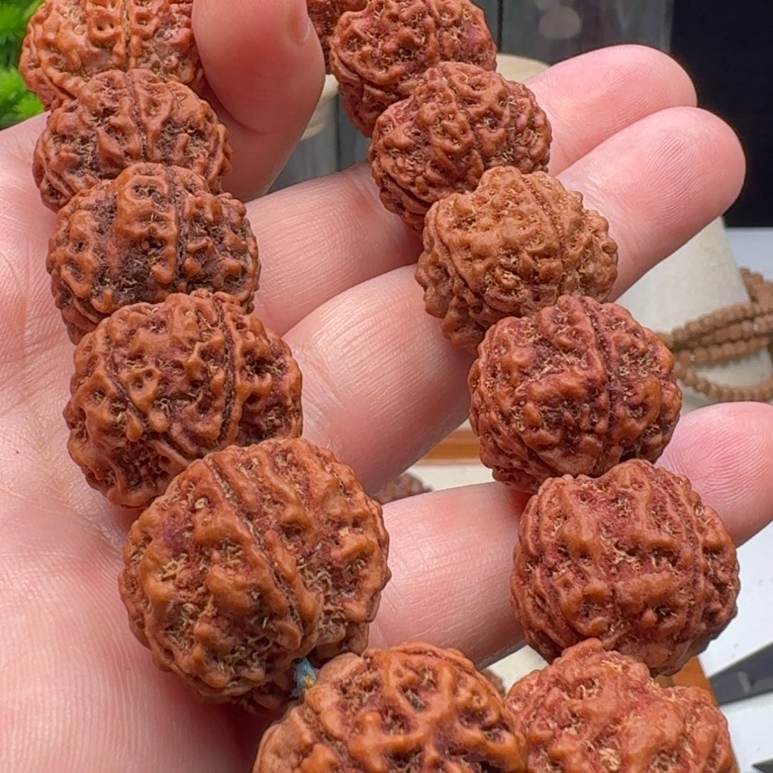 金刚菩提手串粗筋蜂窝双龙