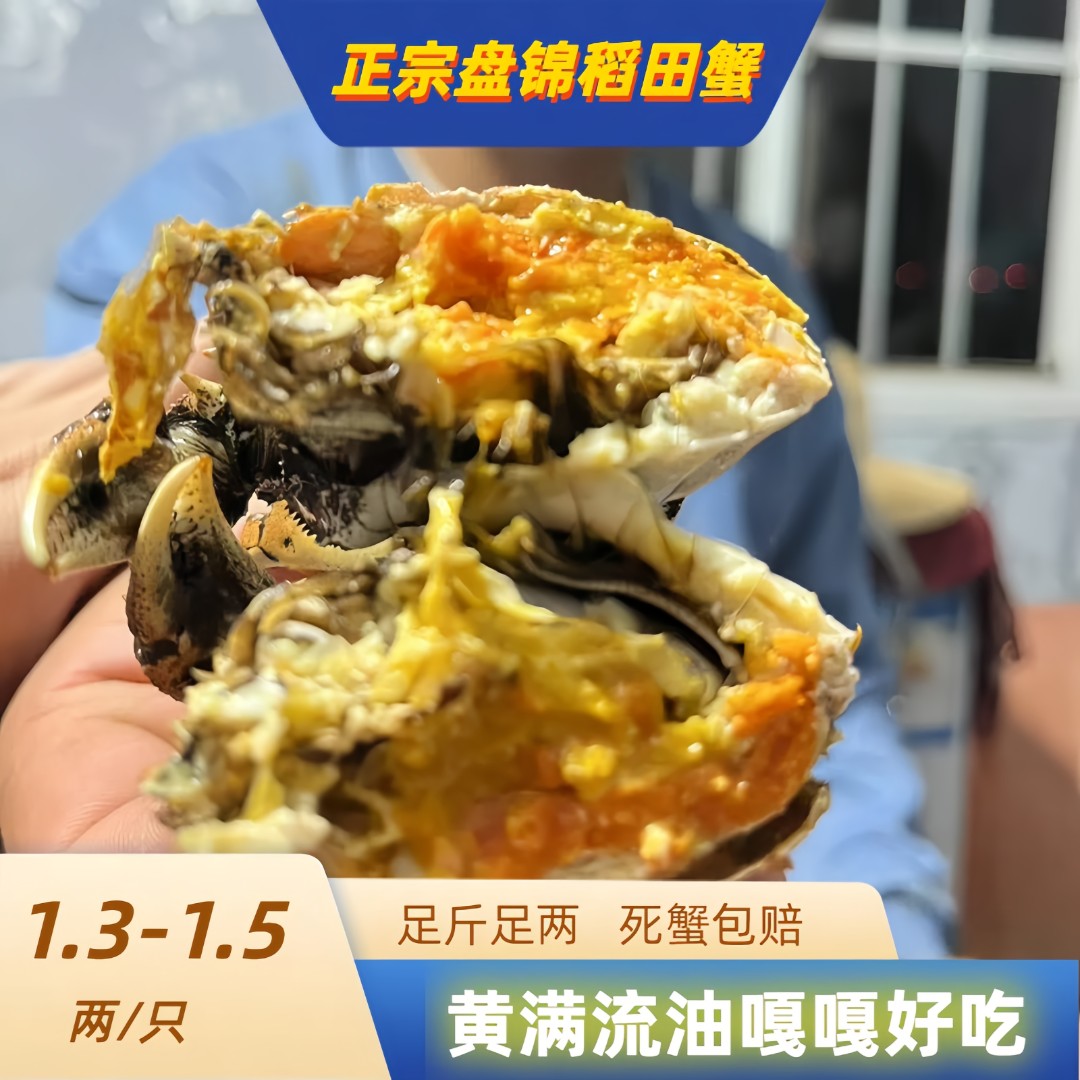 【活蟹】盘锦稻田全母蟹（1.3-1.5两/只）2/3斤母蟹