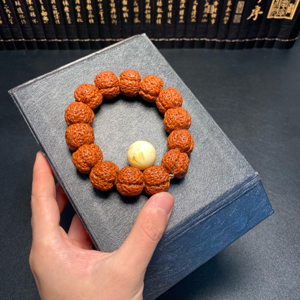 超头新籽老龙王（10号）