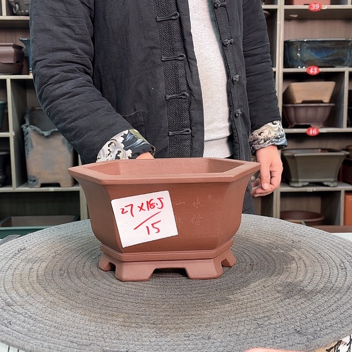 紫砂花盆紫砂的花也太美