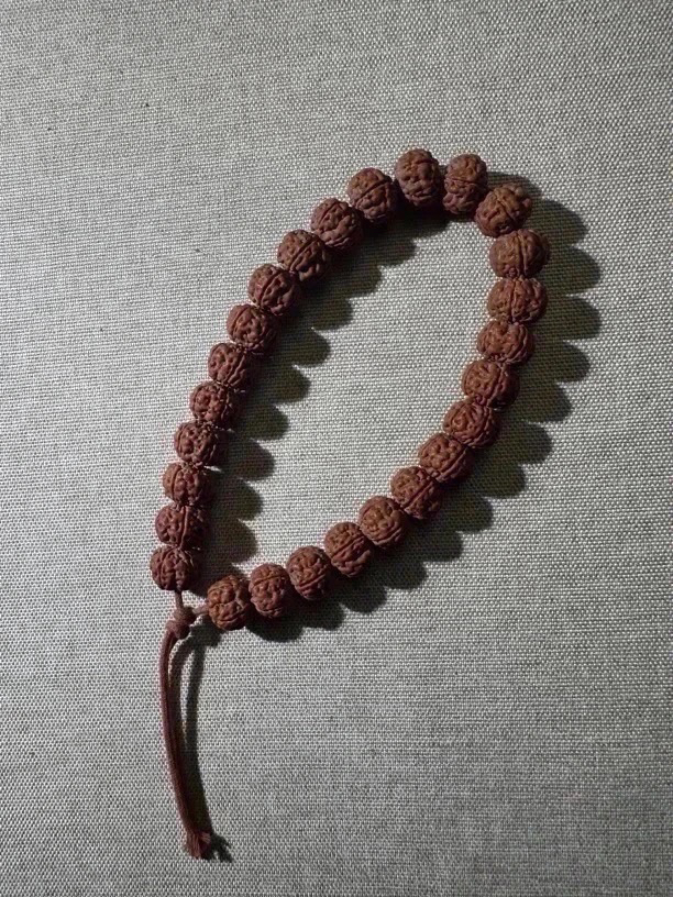 A3358【纯血·老树王手串】毕业小金刚菩提