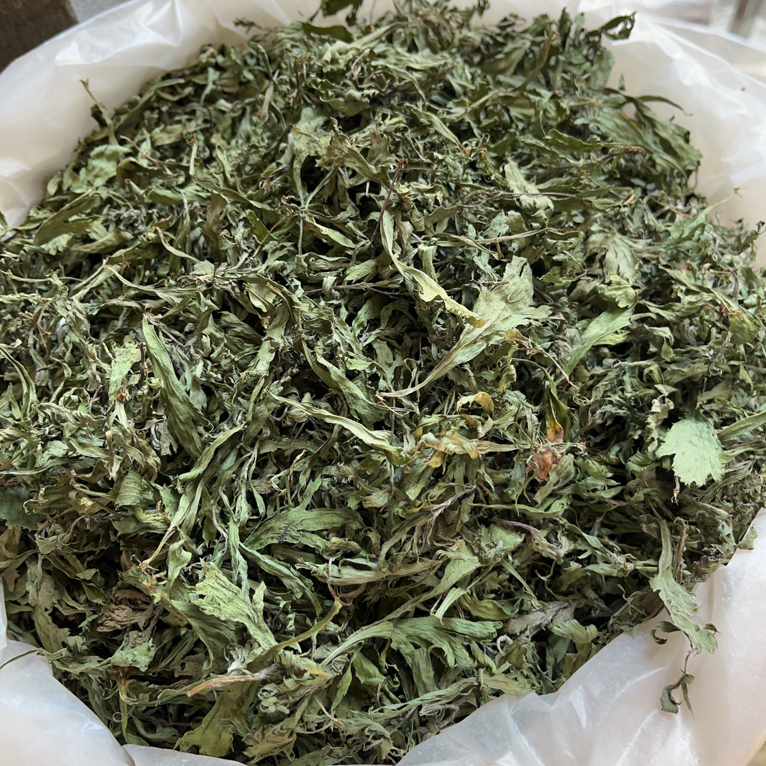 代购寿宁特产碗头青 白花子