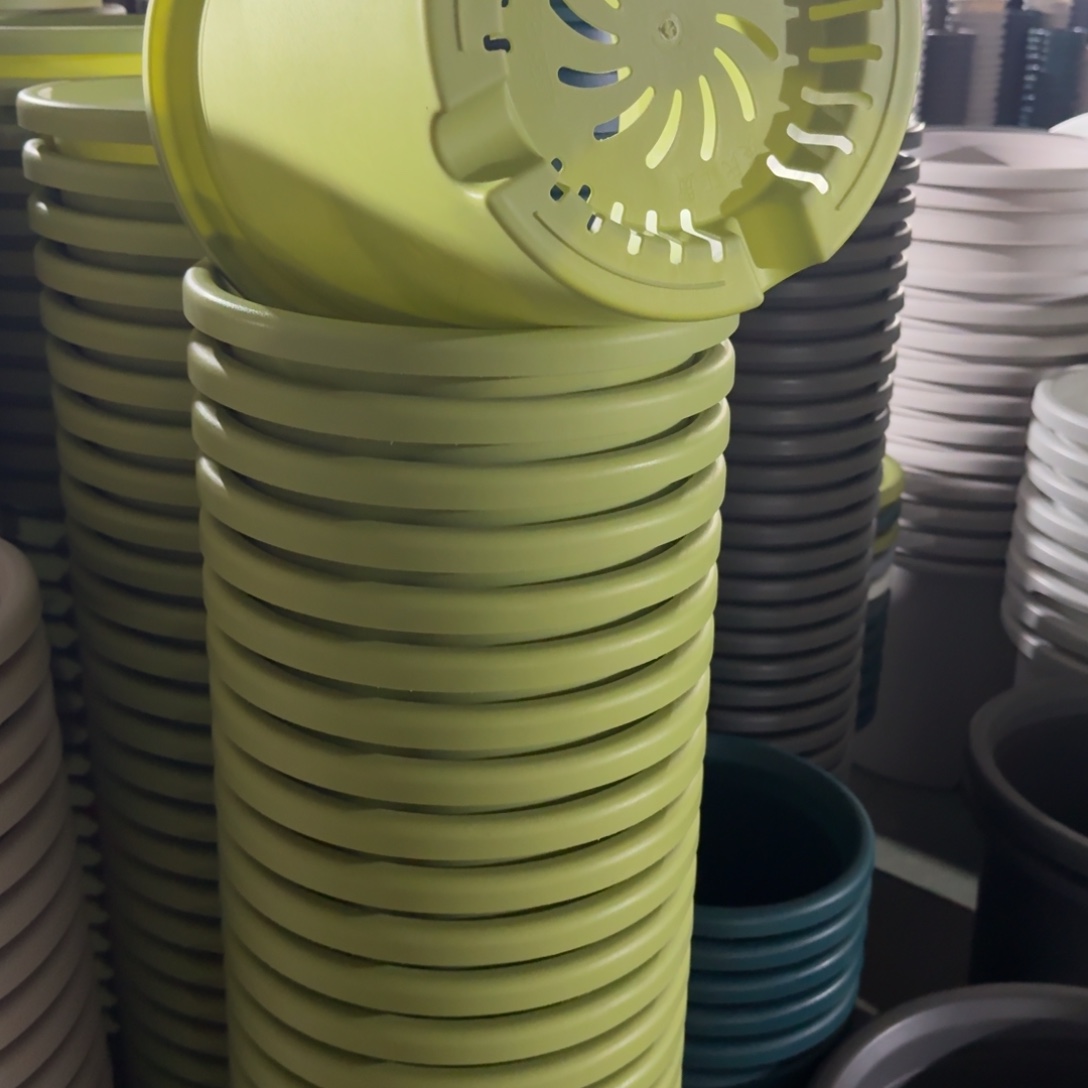 四季7号6个果绿色的