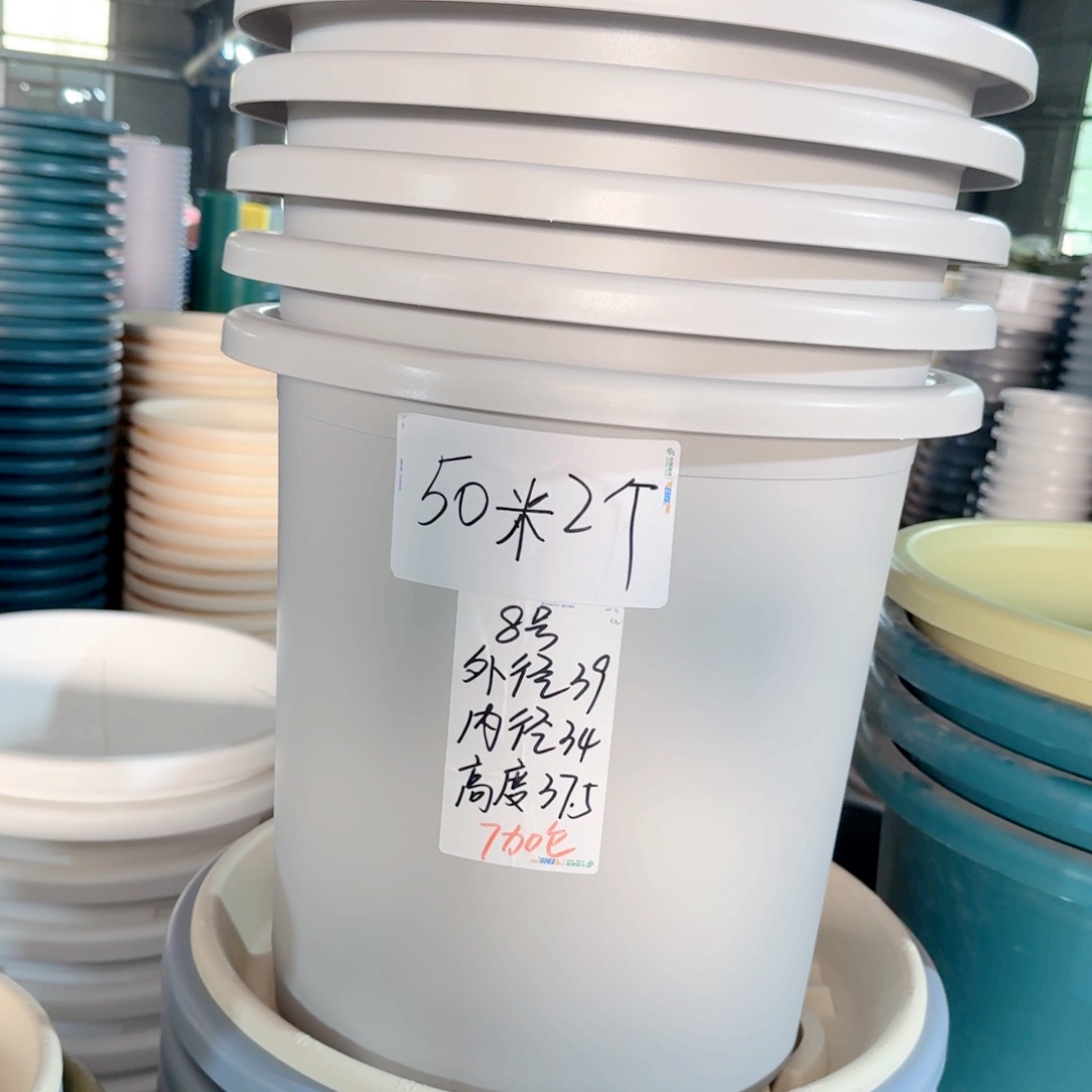 微瑕8#灰白5个无拖